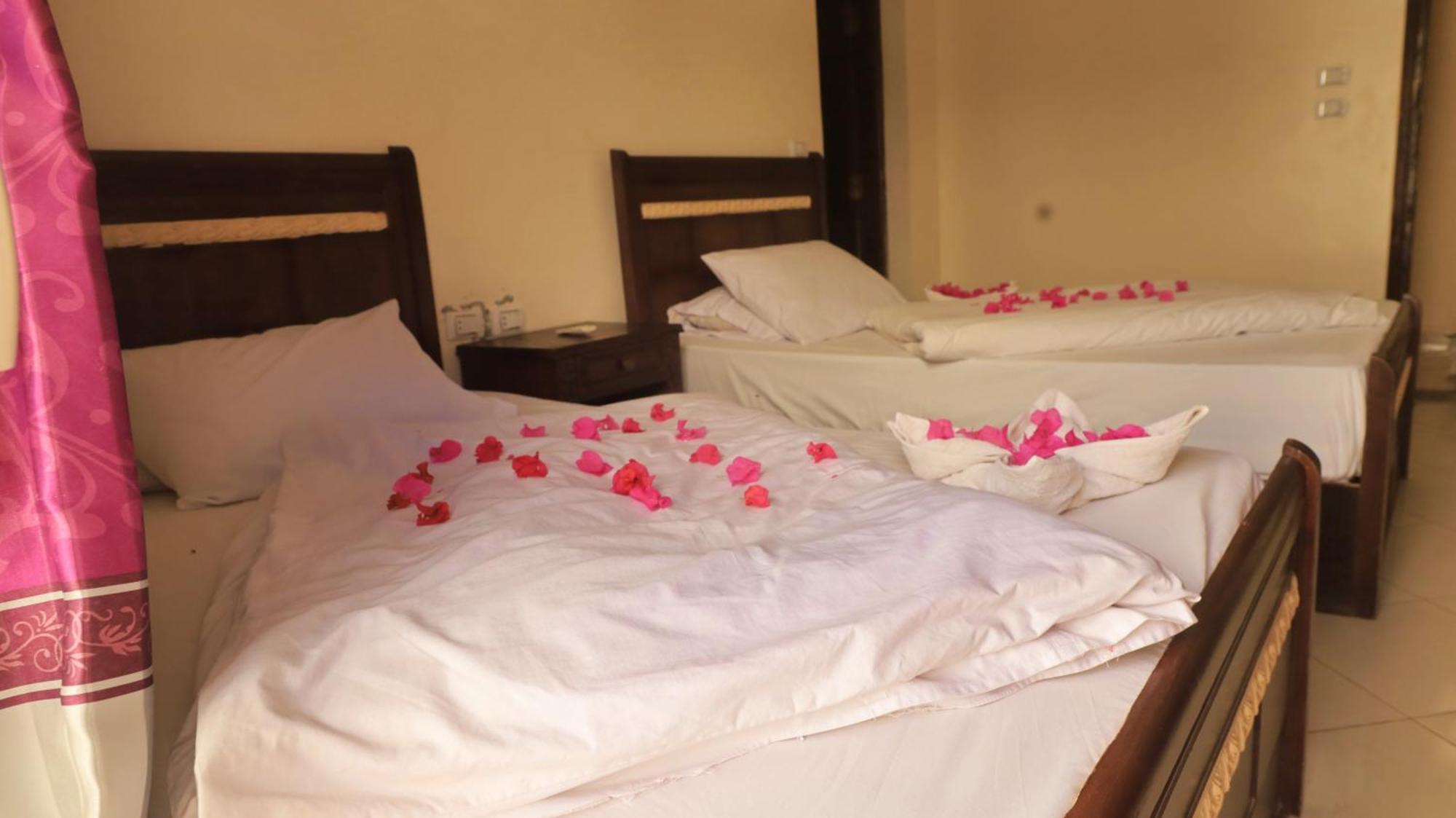 Dahab Bay Hotel Room photo